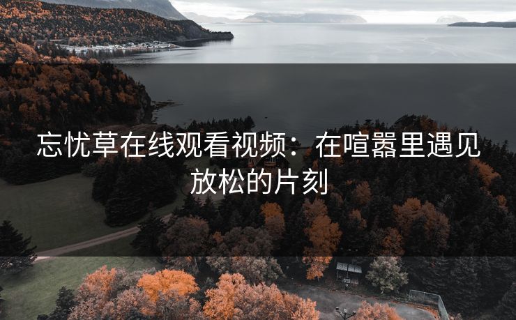 忘忧草在线观看视频：在喧嚣里遇见放松的片刻