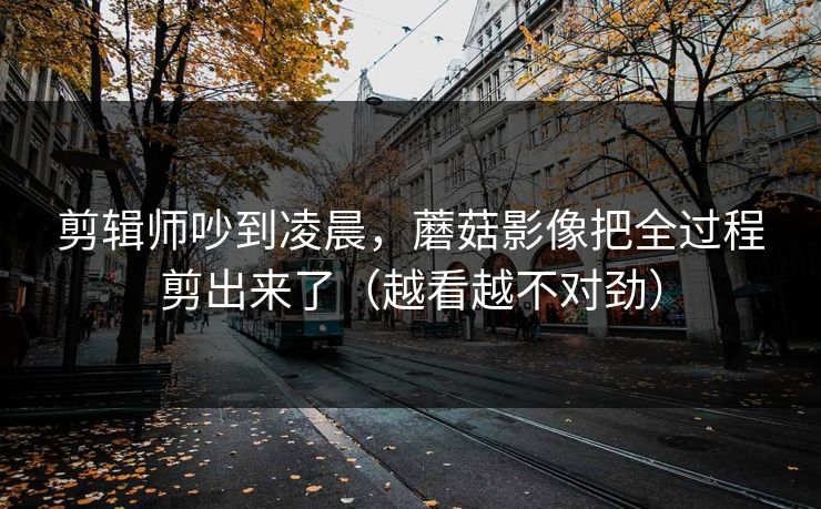 剪辑师吵到凌晨，蘑菇影像把全过程剪出来了（越看越不对劲）